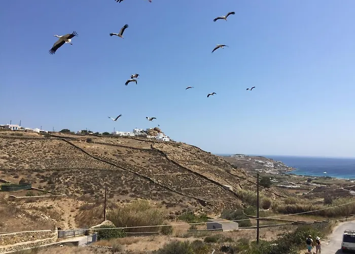 Appartamento A&a House Mykonos B